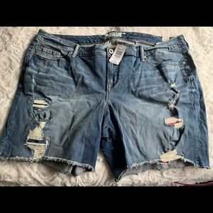 Torrid shorts